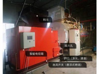 甘肃（sù）燃生物质燃气两用蒸汽锅炉